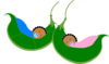 Two Sleeping  Peas In A Pod Clip Art