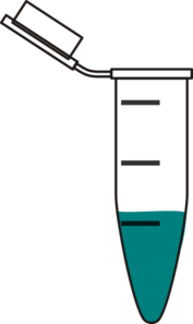 3 Phases Eppendorf Clip Art