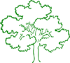  Green Oak Tree Clip Art