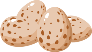 Egg Plain Clip Art