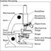 Compound Microscope Clip Art at Clker.com - vector clip art online ...