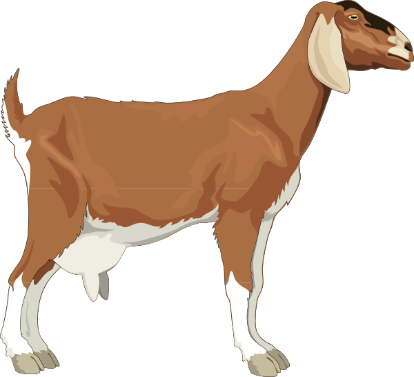 Goat Clip Art at Clker.com - vector clip art online ...