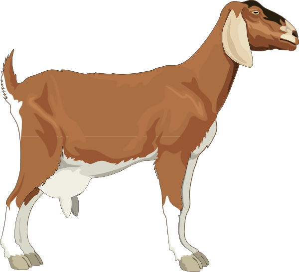 Goat Clip Art at Clker.com - vector clip art online, royalty free