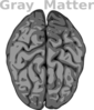 Gray Matter Clip Art