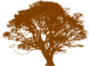 Brown Tree Clip Art