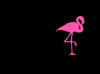 Pink Flap Swank Flamingo Clip Art