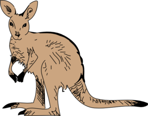 Standing Kangaroo Clip Art