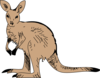 Standing Kangaroo Clip Art