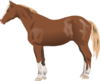 Horse Clip Art