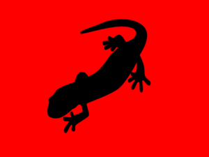 Team Salamander! Clip Art