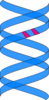 Vertical Double Helix Black Clip Art