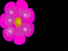 Pflower Clip Art