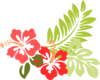 Hibiscus Clip Art