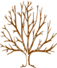 Guest Tree Clip Art