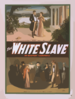 The White Slave By Bartley Campbell. Clip Art