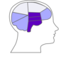 Head And Brain Outline Clip Art