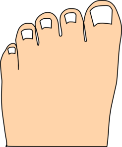 Toes Full Color Clip Art at Clker.com - vector clip art online, royalty