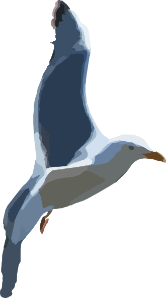 Flying Seagull Clip Art at Clker.com - vector clip art online, royalty