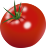 Tomato Clip Art