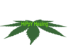 Hippy Healing Logo Clip Art