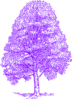 A Purple Silhouette Beech Tree Clip Art