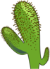 Cactus  Clip Art