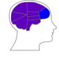 Head And Brain Outline Clip Art