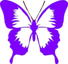 Purple Butterfly Wings Clip Art