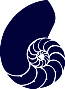 Blue Nautilus Shell Clip Art