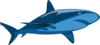 Shark Clip Art