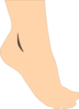 White Foot Clip Art