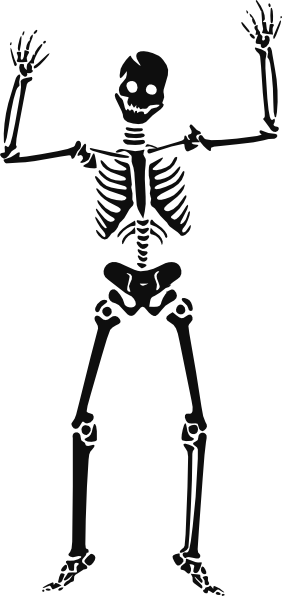 Big Skeleton Clip Art at Clker.com - vector clip art online, royalty