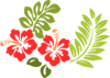 Hibiscus Clip Art