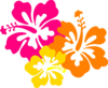 Hibiscus Clip Art