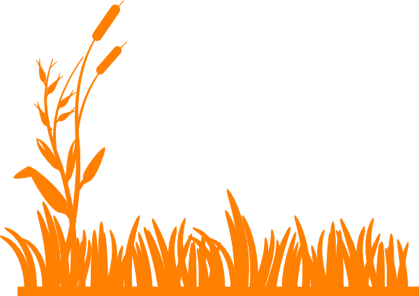 Orange Grass Clip Art at Clker.com - vector clip art online, royalty