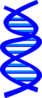 Dna Clip Art