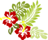 Hibiscus 21 Clip Art