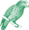 Green Parrot Clip Art