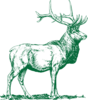 Elk Clip Art