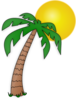 Palm Tree Under The Sun Clip Art