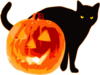 Halloween Cat With Pumpkin Clip Art