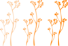 Orange Trees Clip Art
