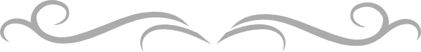 Image result for grey divider
