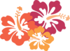 Hibiscus Clip Art