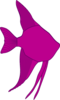 Angelfish Silhouette Pink Clip Art