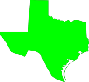 Texas Electoral Vote Clip Art