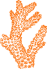 Coral Orange Clip Art