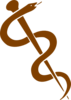 Rod Of Asclepius-dark Brown Clip Art Clip Art
