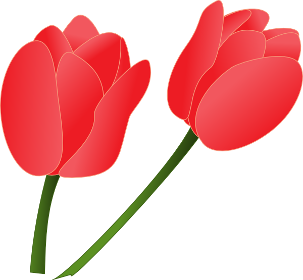 Red Tulip Clip Art at Clker.com - vector clip art online, royalty free ...