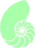 Green Nautilus Shell Clip Art